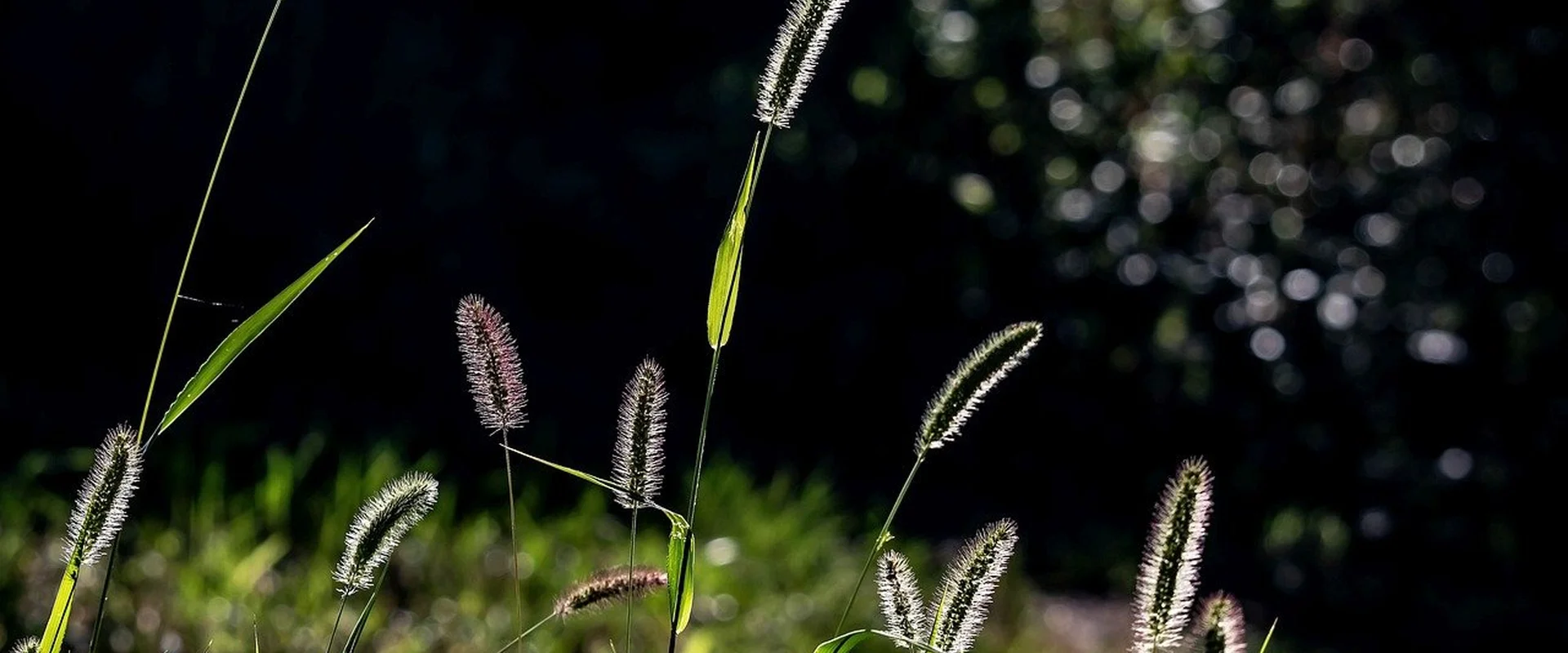 赌博游戏PG电子